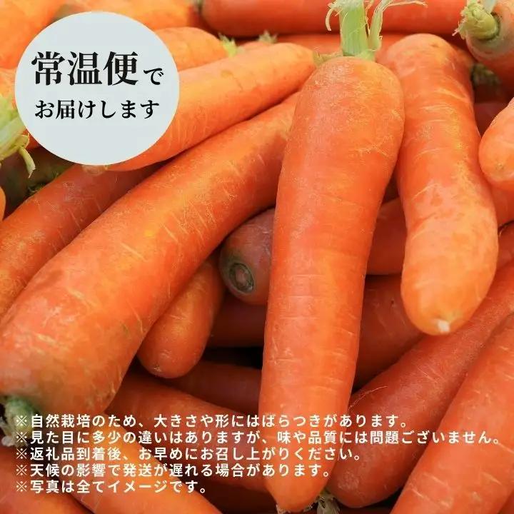 人参 2kg 人参
