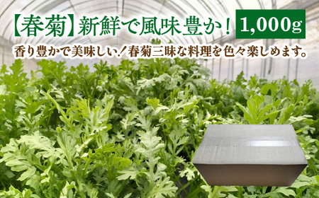 春菊 新鮮で風味豊か！ 約1,000g【45P3207】