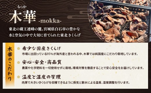 《国産》【木華（もっか）】 生きくらげ300g(100g×3パック)&乾燥きくらげセット(黒)60g（20g×3袋）