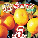 【ふるさと納税】【ご家庭用】味ロマン 約5kg（約50〜60個） ー2024年11月下旬より発送ー長与町/長崎西彼農業協同組合 長与支店 [EAH004] みかん ミカン