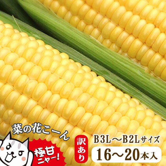 【ふるさと納税】朝採れ とうもろこし【訳あり】菜の花こーん B3L〜B2Lサイズ 16〜20本 とうもろこし コーン ふるさと納税 家庭用 訳あり品 産地直送 農家直送 旬 岩手県 一関市【先行予約 7月下旬以降発送予定】