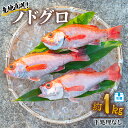 【ふるさと納税】 ノドグロ 約1kg 産地直送 冷蔵 下処理なし アカムツ のどぐろ 高級魚 水揚げ時重量約1kg