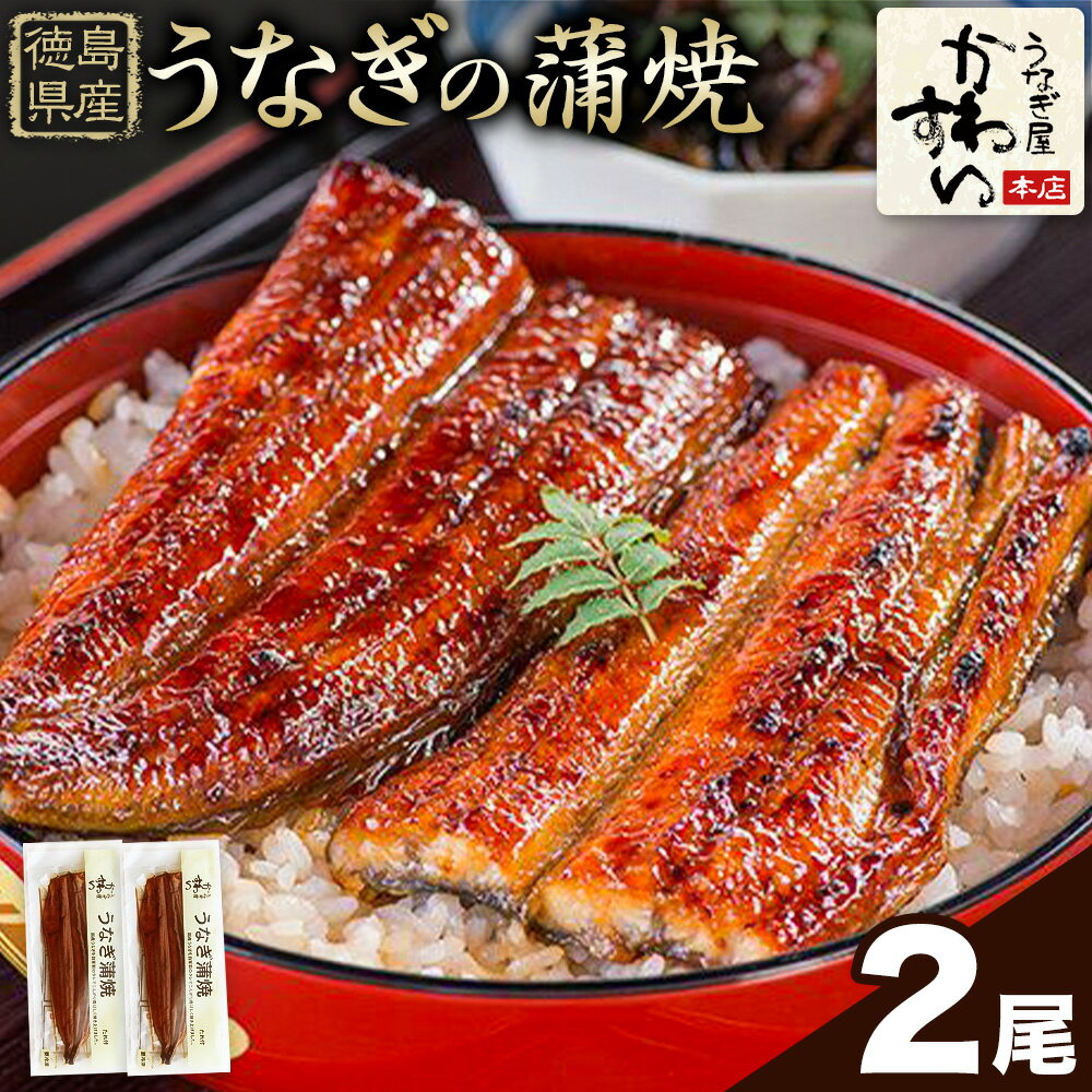 【ふるさと納税】うなぎ屋かわすい 国産うなぎの蒲焼 2尾 川口水産株式会社《30日以内に出荷予定(土日祝除く)》うなぎ蒲焼 鰻 大 タレ 惣菜 丑の日 人気 うなぎ おすすめ 国産 個装