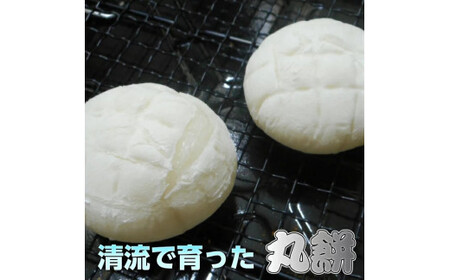 丸餅約350g（8個）1個約40g～45g程度【つき餅】｜お祝い お供え 自宅用※着日指定不可※離島への配送不可