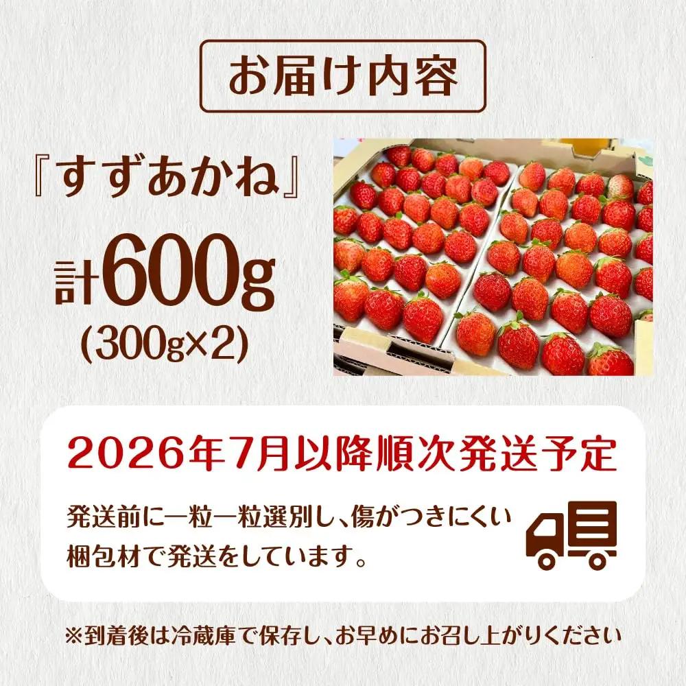 夏いちご すずあかね  計600g [AXBT003] いちご