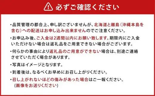 【アフター保証】うるう農園 あまおう DX等級 2パック （約570g）【2026年12月上旬～2027年1月下旬発送予定】 いちご イチゴ 苺 フルーツ 果物
