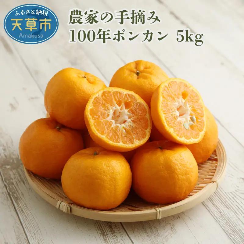 S040-007A_農家の手摘み100年ポンカン 約5kg〈先行受付〉 / 農家 百年ポンカン 約5kg