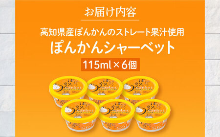 ぽんかんシャーベット６個 | 高知アイス ポンカン おいしんだもの Made in 土佐