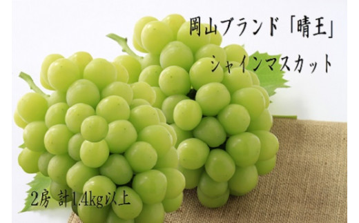 環-12【先行予約】岡山県産　秋のシャインマスカット「晴王」2房（約1.4kg）