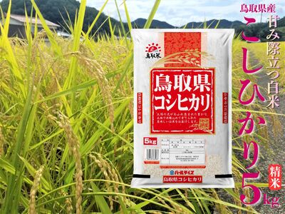精米 5kg 白米 こしひかり 鳥取県産 令和7年産 | 43M