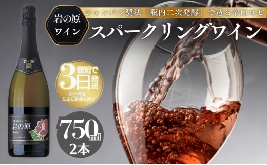 
            ワイン 岩の原スパークリングワイン ロゼ 瓶内二次発酵 2本 （750ml） お酒 岩の原 酒 新潟 上越 最短3日で発送
          