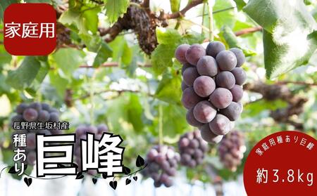 2025年発送 先行予約 家庭用 種あり巨峰3.8kg (9～13房) 果物 ぶどう フルーツ セット 食べ比べ デザート 食後 産地直送 果物詰め合わせ