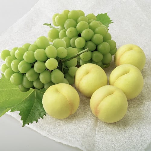 
                  環-8【先行予約】岡山県産　岡山白桃とシャインマスカット
                