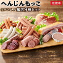 【ふるさと納税】サラミ ソーセージ ベーコン ハム 9種 約1.3kg | 肉 お肉 にく 食品 国産 人気 おすすめ 送料無料 ギフト 詰め合わせ セット ウィンナー ウインナー チョリソー 生ハム 生サラミ ベーコン 食べ比べ へんじんもっこ