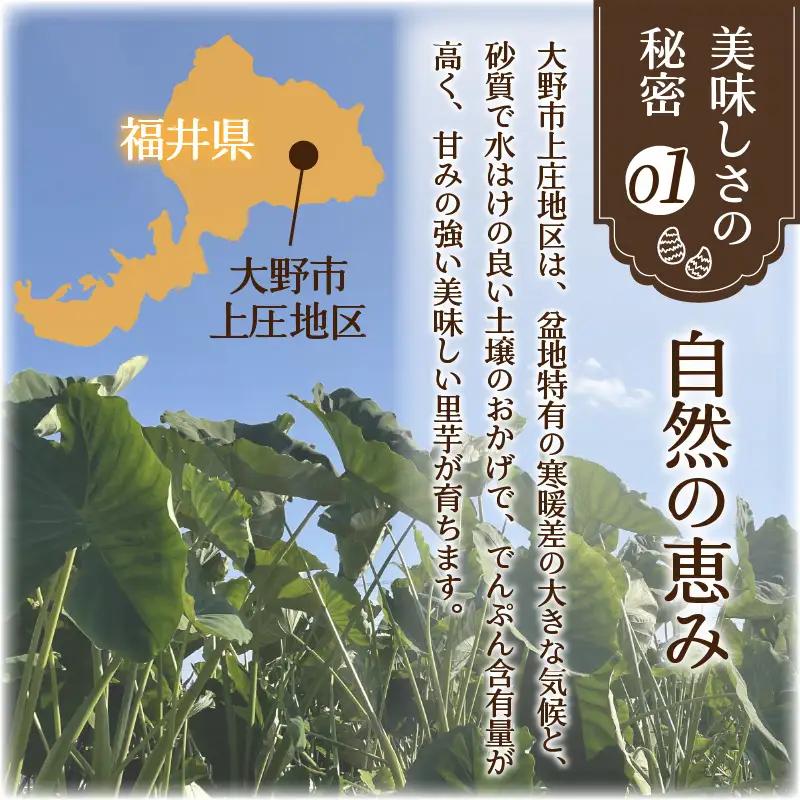 上庄さといも 【12月発送】3kg  里芋 特別栽培 [A-004001_03]