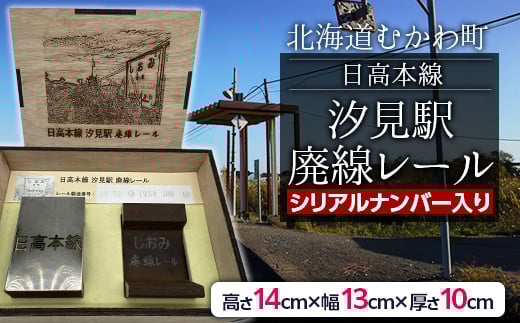 日高本線廃線レール　厚さ１０ｃｍ（数量限定）（シリアルナンバー入り）【 ふるさと納税 人気 おすすめ ランキング 廃線 レール ブックエンド 置物 限定 北海道 むかわ町 送料無料 】 MKWG033