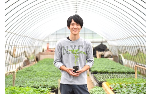 万能調味料！完熟とまとみそ 3個セット 完熟とまとみそ 70g 3個 セット 万能調味料 トマト みそ 味噌 万能ソース 熊本 阿蘇 南小国町 送料無料