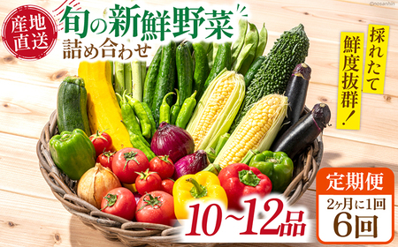 【6回定期便】2ヵ月に1回 旬の新鮮 野菜詰め合わせセット（10品-12品）/ 野菜 定期便 やさい 定期便 野菜セット やさいセット 春野菜 夏野菜 秋野菜 冬野菜 旬新鮮 / 南島原市 /長崎県農産品流通合同会社[SCB096]