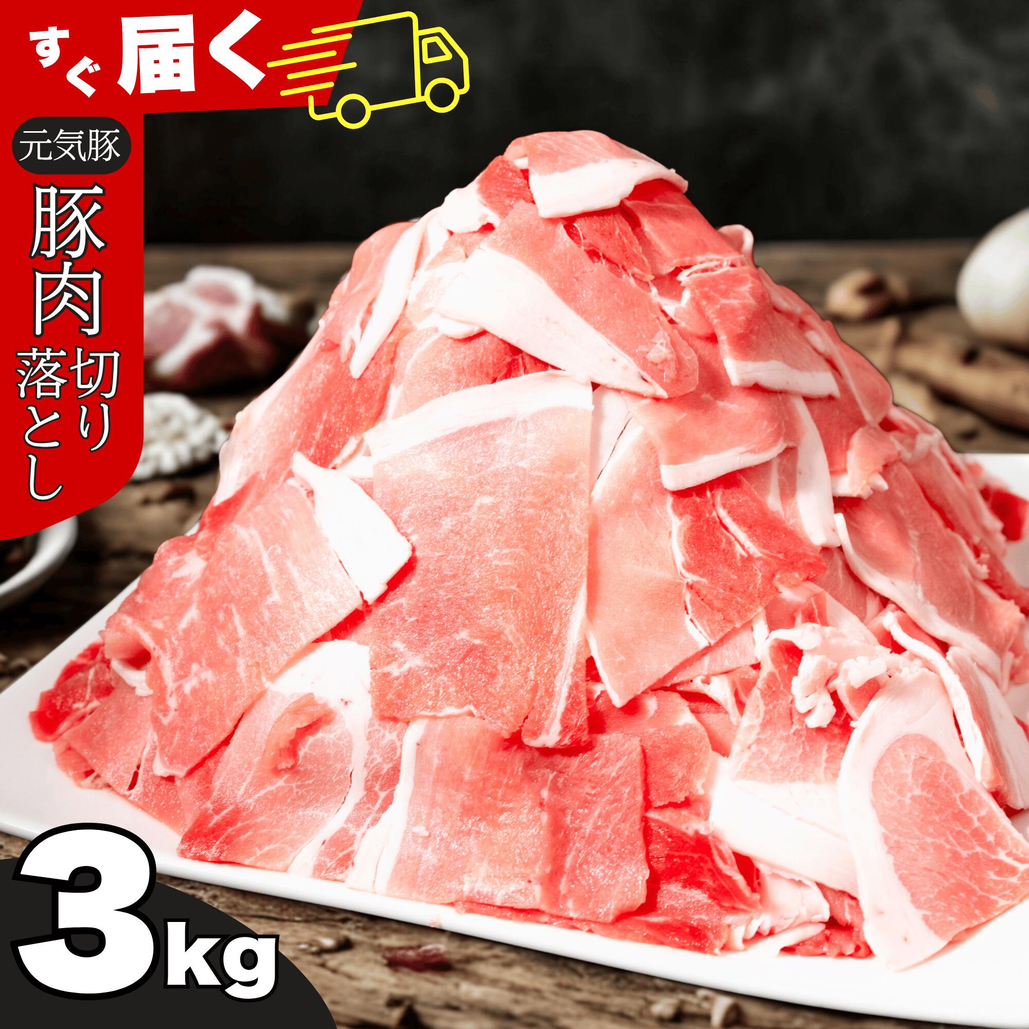 【ふるさと納税】【小分けで便利】国産 元気豚 切り落とし 3kg(500g×6袋)　千葉県産三元豚 パラパラ凍結 生姜焼き 豚汁 送料無料【配送不可地域：離島・沖縄県】MT203971_01