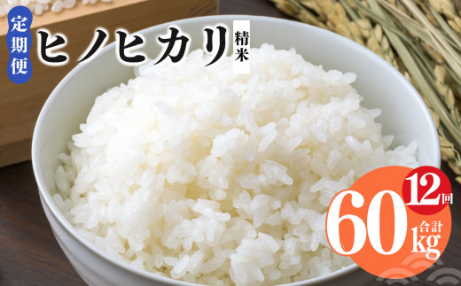 
【 定期便 12回 】奈良県産 ヒノヒカリ 精米 5kg （ 計60kg ） 米
