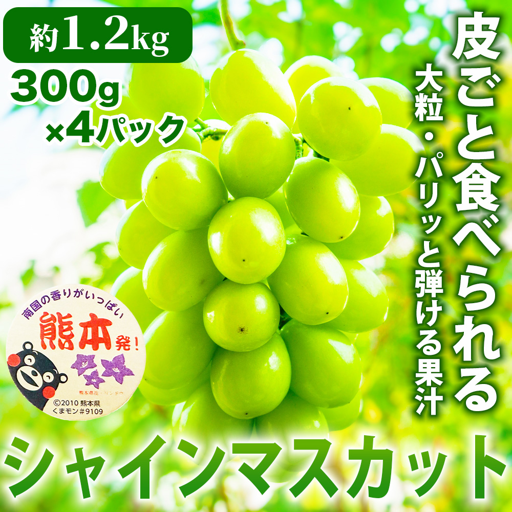先行予約 シャインマスカット 約1.2kg (4パック)【2026年7月下旬〜2026年8月下旬発送予定】 フルーツ 果物 くだもの ぶどう ブドウ 葡萄 国産 高品質 高級 甘い 香り 産地直送 ご褒美 贅沢 デザート 日本フルーツ