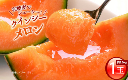 クインシーメロン（1玉入り1箱）1.5kg前後