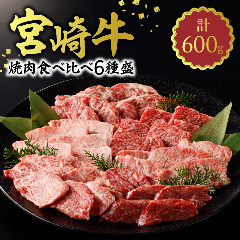 宮崎牛焼肉食べ比べ6種盛600g N0140-YB328