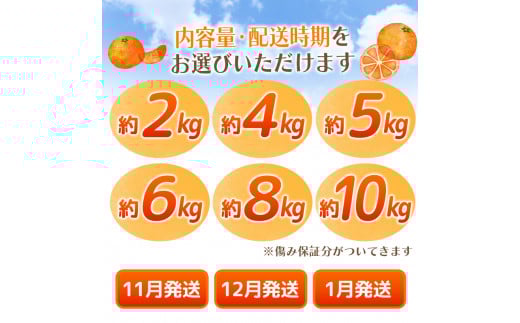 【2025年11月発送予約分】＼光センサー選別／ 【農家直送】【家庭用】こだわりの有田みかん 約6kg＋250g(傷み補償分) 先行予約 有機質肥料100% サイズ混合 【11月発送】みかん ミカン 