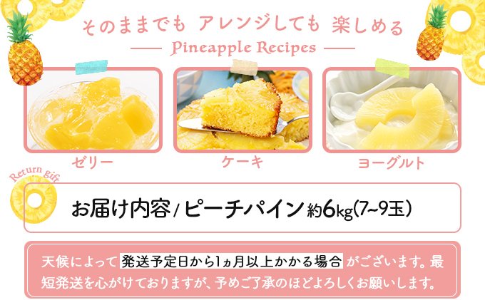 2026年 先行予約 ピーチパイン 約6kg 7～9玉 甘熟 西表島ふる～つらんど 不動の人気No.1 果物 フルーツ パイン