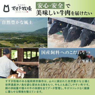 ふるさと納税 宗像市 【定期便/毎月お届け】むなかた牛ハンバーグ6個セット 12ヶ月定期便【道の駅むなかた】_HB0037 |  | 03