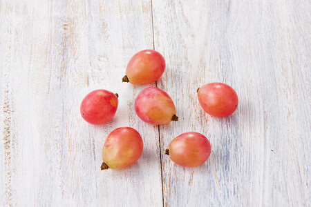 ぶどう 岡山市産 クイーンニーナ 粒（カップ）100g×12 2025年発送 渡邊農園