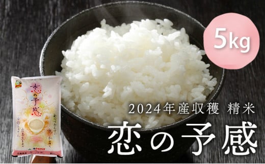 2024年産収穫「恋の予感」精米5kg