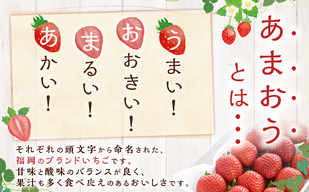 【3回定期便】博多あまおうリッチな定期便【2024年12月上旬～2025年2月下旬発送予定】