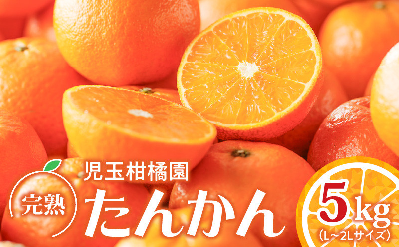 
                  【先行予約】【児玉柑橘園】奄美完熟たんかん 優品 5kg（L～2L）　A061-002
                