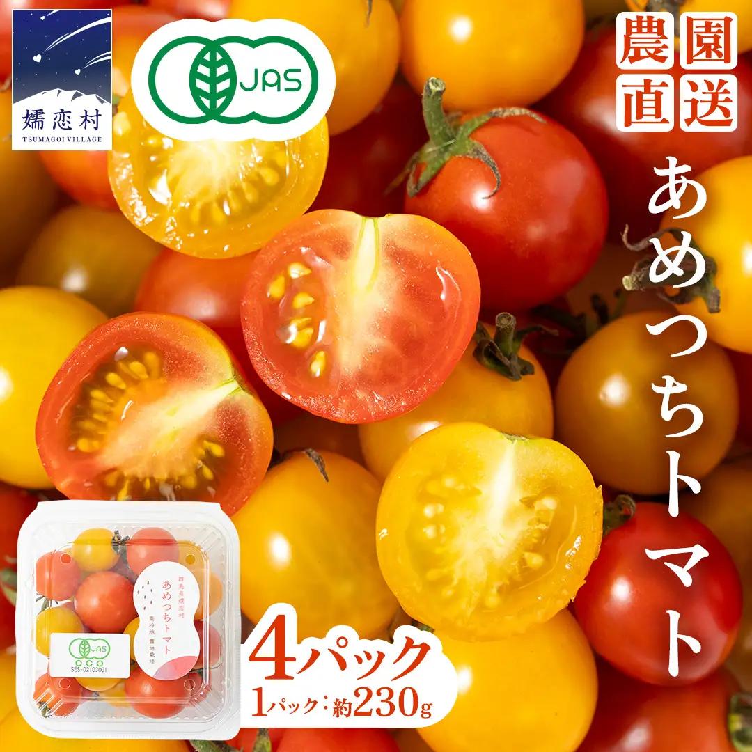 【8月下旬発送開始】 ミニトマト 約 230g × 4パック 【 あめつち農園 】 [BP001tu]