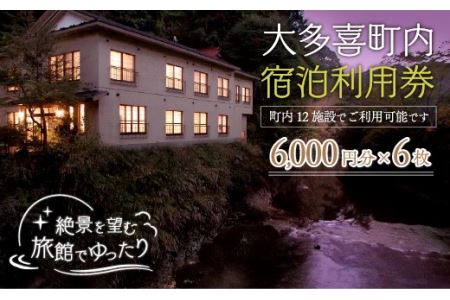 W12010 大多喜町内宿泊利用券6000円分 6枚/ 旅館でゆっくり宿泊利用券 千葉県宿泊利用券 ふるさと納税宿泊利用券