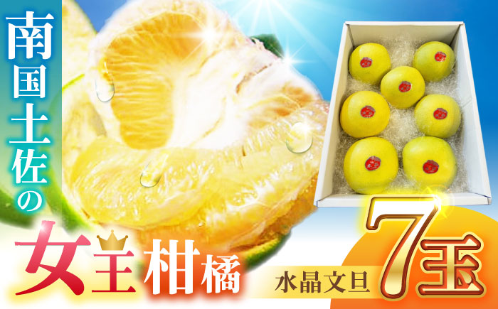 【先行予約】 南国土佐の女王柑橘 水晶文旦 約3kg 7玉入り〈2026年9月中旬～2026年12月中旬頃発送〉/ ぶんたん 文旦 3kg 3キロ フルーツ 高知 名物 果物 柑橘 ムッキー 【フルーツショップオザキ】[ATAH006]