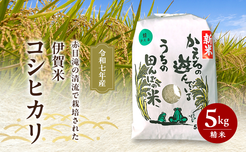 8月下旬出荷予定！ 赤目滝の清流で栽培された 令和7年産 伊賀米コシヒカリ 5kg 精米