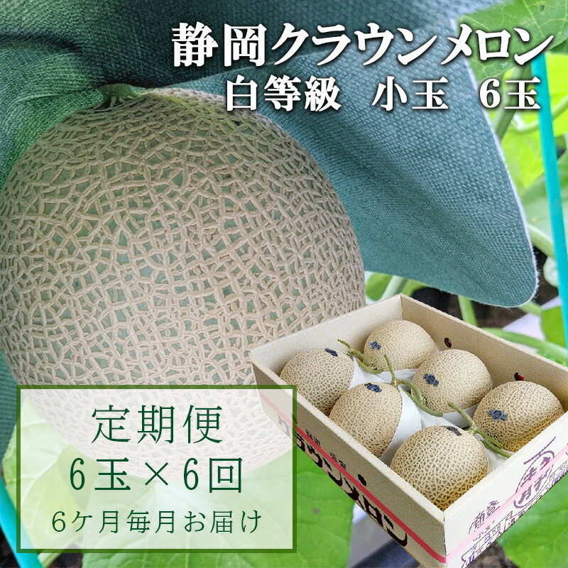 【ふるさと納税】【6か月定期便】クラウンメロン【並(白等級)】小玉(1.1kg前後)6玉入り 果物 メロン青肉 フルーツ デザート 高級メロンブランド 高級メロン ブランドメロン