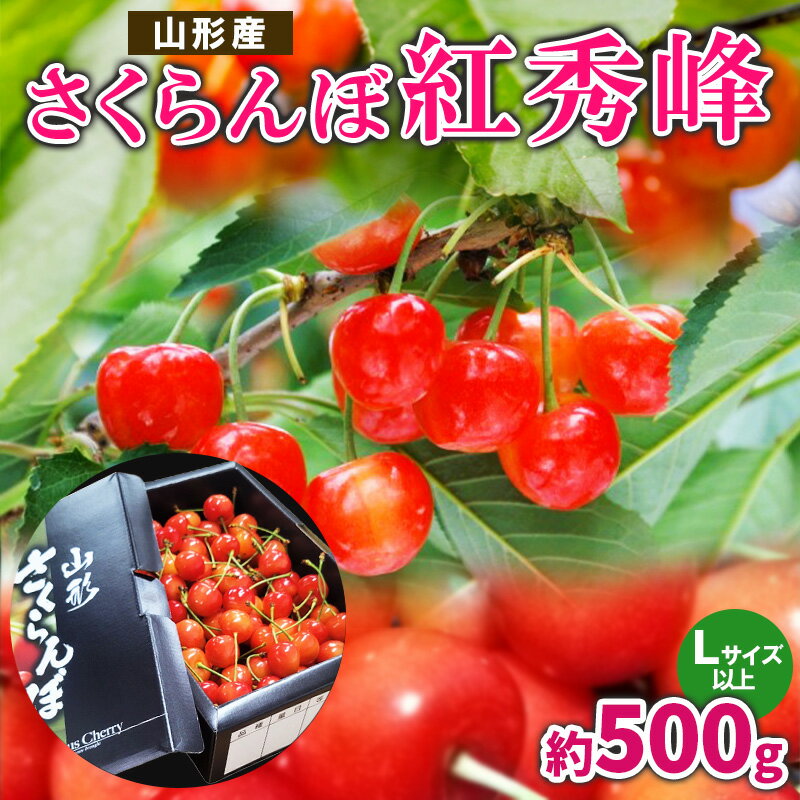 【ふるさと納税】さくらんぼ 紅秀峰 L以上 約500g【令和8年産先行予約】FS25-059