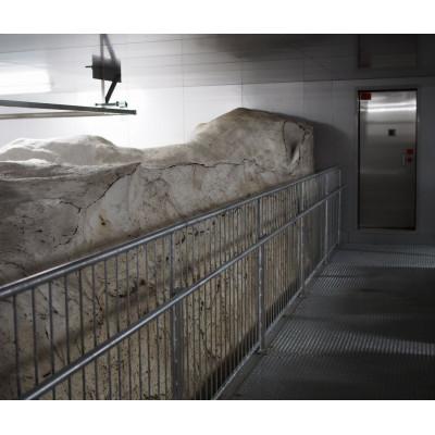 ふるさと納税 上越市 雪むろ棚田米新之助 2kg 玄米 |  | 03