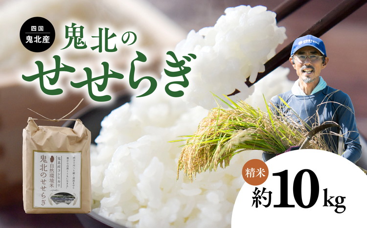 【先行予約】【R8年産】【自然環境米】鬼北のせせらぎ（コシヒカリ）5kg×2 ｜ お米 お米不足 お米品薄 おいしい お米 事業者支援 送料無料 白米 精米 国産 限定 ごはん ご飯 白飯 ゴハン 愛媛県産 鬼北町 ※2026年9月～発送