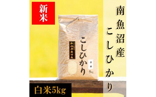
                  【令和8年産 新米予約】南魚沼産コシヒカリ（白米）【5kg】【銘柄米 ブランド米 精米 こしひかり コシヒカリ 魚沼産 新潟米 産地直送 お米 米 こめ コメ ご飯 御飯 ごはん】【2026年10月上旬から1ヶ月以内に順次発送予定】
                