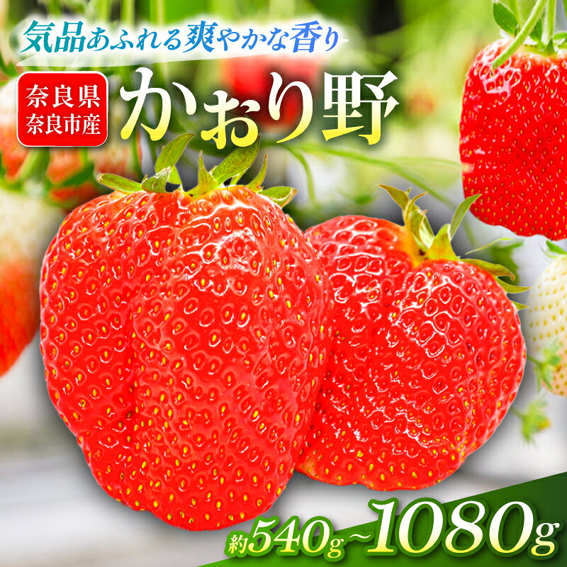 【ふるさと納税】 いちご かおり野 約540~1080g 1パック約270g 2~4パック 2027年発送 選べる容量 鶏冠果 サイズ混合 不揃い 数量限定 冷蔵 イチゴ 苺 フルーツ 果物 旬 産地直送 小分け 甘い おすすめ おいしい 贈答 プレゼント ギフト 奈良県 奈良市 いちご農家だるま