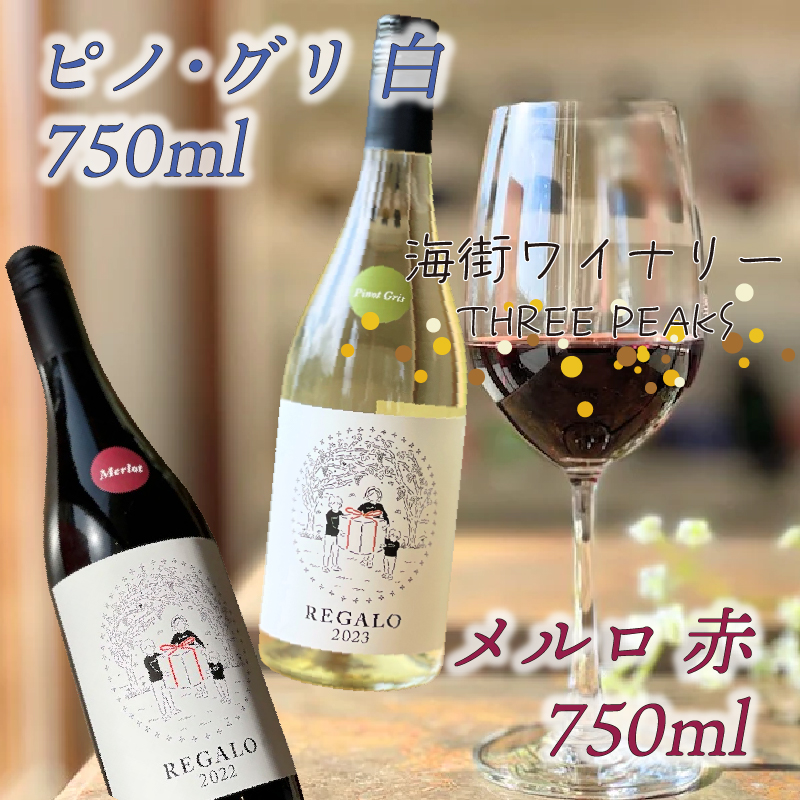 メルロ ピノ・グリ 2本セット 750ml シードル しーどる cider Alcohol 酒 お酒 アルコール 果実酒 りんご 林檎 リンゴ 果物 くだもの 晩酌 飲料 飲み物 夕飯 土産 お土産 手土産 イベント プレゼント ギフト お楽しみ会 贈答品 お中元 お歳暮 誕生日  ホワイトデー ハロウィン クリスマス 内祝い 父の日 母の日 敬老の日 大船渡 三陸 岩手県 国産