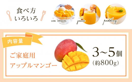 【先行予約】家庭用アップルマンゴー 3～5個(800g)（2026年6月～発送）| マンゴー アップルマンゴー フルーツ 果物 くだもの 食品  高評価 厳選 高級 ギフト 贈り物 人気 おすすめ