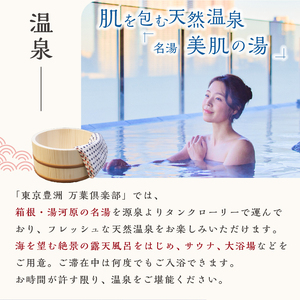 東京豊洲 万葉倶楽部　日帰り入館券１枚 【kt003-001-1】 温泉