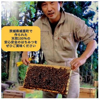ふるさと納税 城里町 長島さんのはちみつ 百花蜜とアカシア蜜　各250g |  | 02