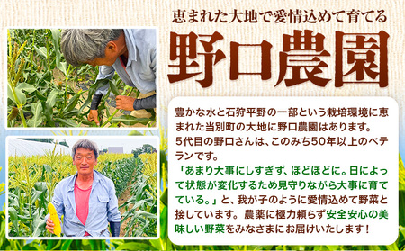 [1.4-361]【令和7年産】【先行予約】野口農園 ななつぼし 5kg お米 北海道産 産地直送 ブランド米 ななつぼし 野口農園《 10月末～（新米収穫出来次第、出荷》　　国産 精米 白米 米 