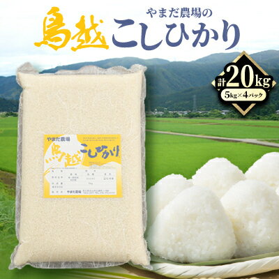 【ふるさと納税】やまだ農場の鳥越こしひかり20kg(5kg×4パック)白米【1019157】